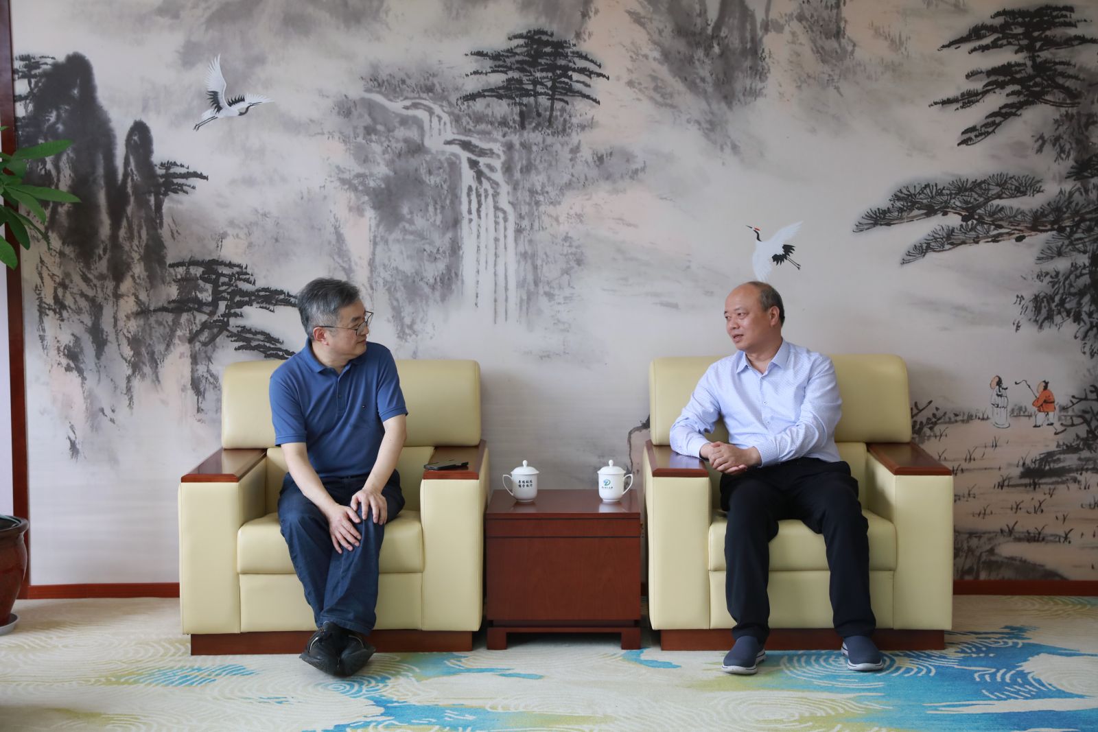 ca88手机客户端(安卓/苹果)CA88会员登录入口